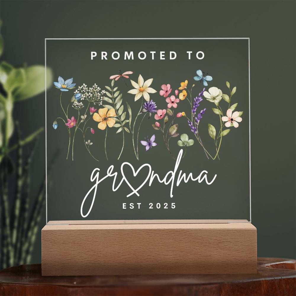 Promoted To Grandma LED Acrylic Plaque